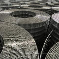 2x2 galvanized welded wire mesh From Anping